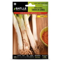 SEMILLAS CEBOLLA CALCOTS