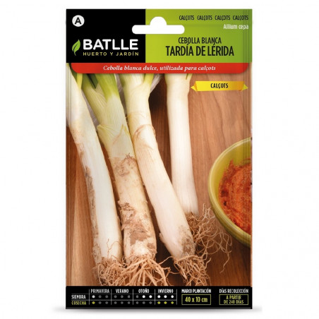 SEMILLAS CEBOLLA CALCOTS