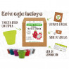 PITHAYA ROJA CAJA KIT CULTIVO