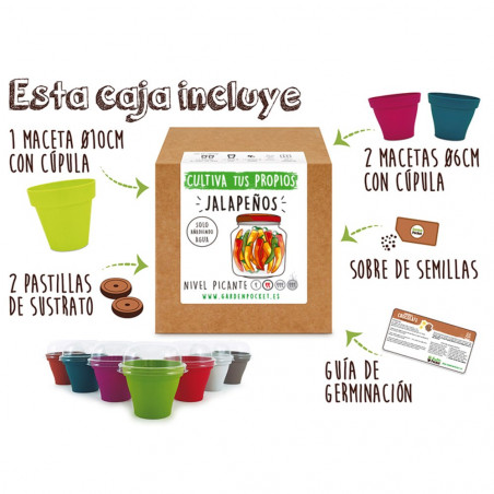 JALAPEÑOS CAJA KIT CULTIVO