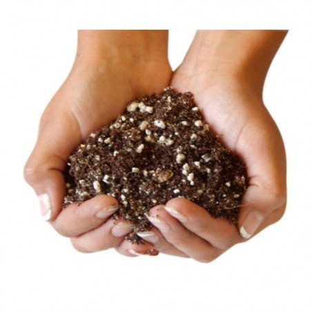 FLOWER SUSTRATO CACTUS 20 LITROS