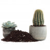 FLOWER SUSTRATO CACTUS 20 LITROS