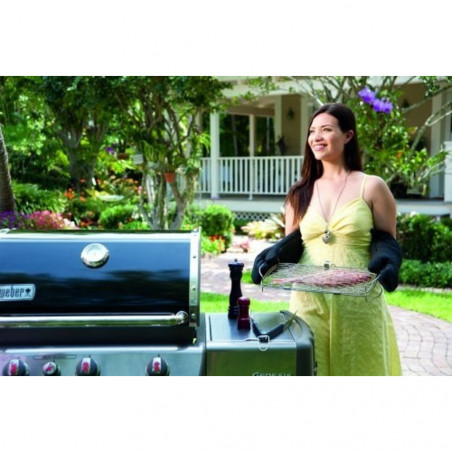 WEBER CESTA PARA PESCADO 46X28,4CM