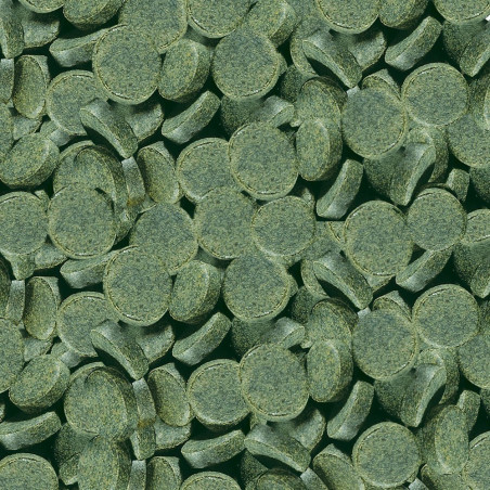 SERA SPIRULINA TABS 24 PASTILLAS