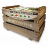 KIT HUERTO VINTAGE ECO
