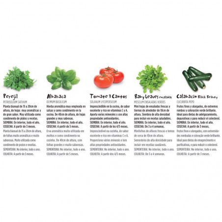 KIT HUERTO VINTAGE ECO