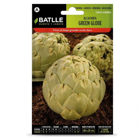 SEMILLAS ALCACHOFA GREEN GLOBE