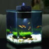 ACUARIO MINI FLUVAL CHI 19 LITROS