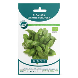 SEMILLAS ECOLÓGICAS ALBAHAJA HOJA GRANDE VERDECORA