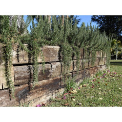 TRAVIESA DE MADERA TRATADA 120X20X10 CM