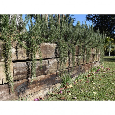 TRAVIESA DE MADERA TRATADA 120X20X10 CM