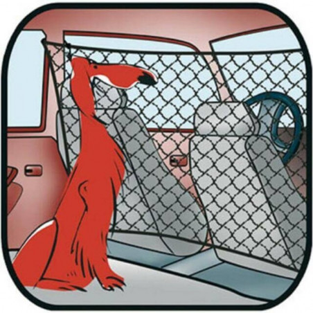 RED DE COCHE