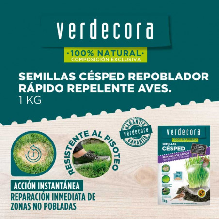 SEMILLAS CÉSPED REPOBLADOR REPELENTE AVES 1 KILO VERDECORA