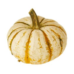 CALABAZA LIL