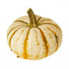 CALABAZA LIL