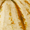 CALABAZA LIL