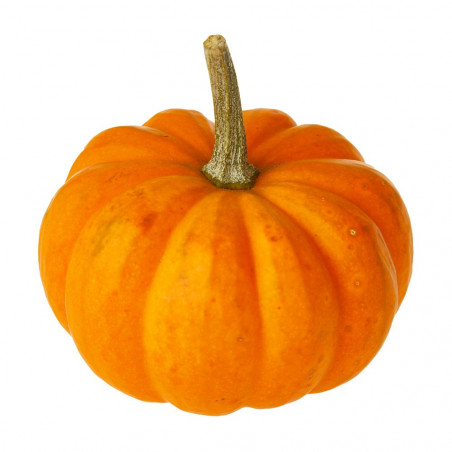 CALABAZA BOO