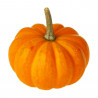 CALABAZA BOO