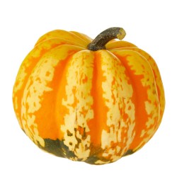 CALABAZA FESTIVAL