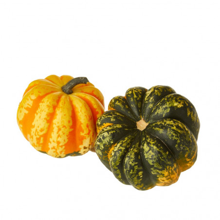 CALABAZA FESTIVAL