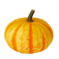 CALABAZA INCENDIO