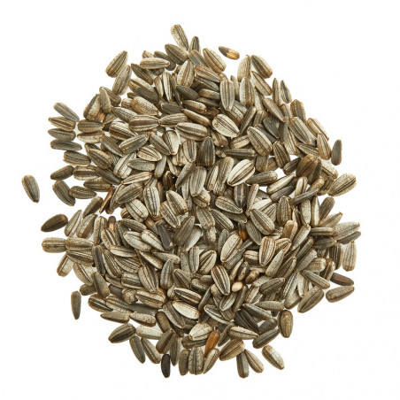 PIPAS GIRASOL VERDECORA 1KG