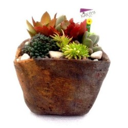 COMPOSICION CRASAS CUADRADA PIEDRA 14X14CM