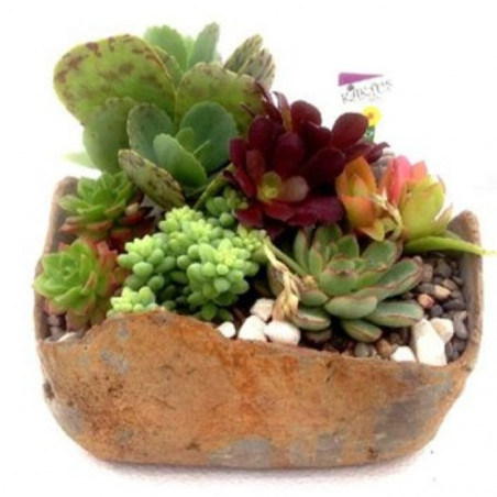 COMPOSICION CRASAS CUADRADA PIEDRA 18X18CM