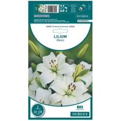 BULBO LILIUM BLANCO VERDECORA 2 UDS