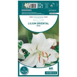 BULBO AZUCENA WHITE VERDECORA 1 UD