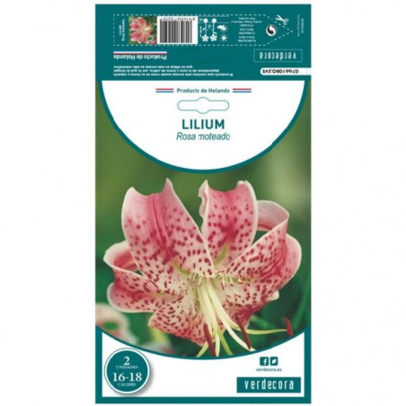 BULBO LILIUM ROSA MOTEADO VERDECORA 2 UDS