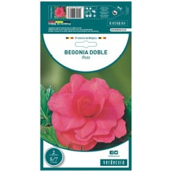BULBO BEGONIA DOBLE ROSA VERDECORA 2 UDS