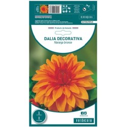 BULBO DAHLIA DECORATIVA NARANJA-BRONCE VERDECORA 1 UD