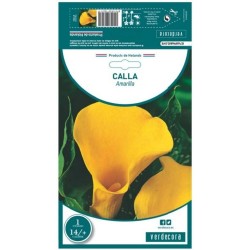 BULBO CALLA AMARILLA VERDECORA 1 UD