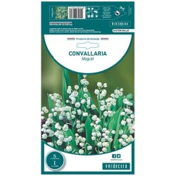 BULBO LIRIO DE LOS VALLES MUGUET VERDECORA 6 UDS