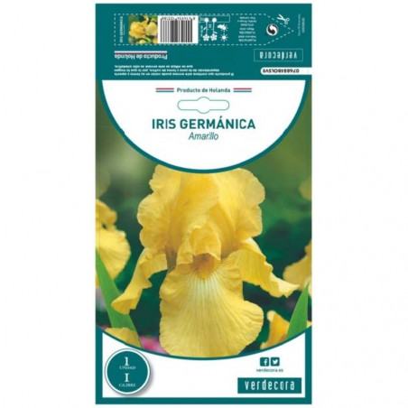 BULBO IRIS GERMANICA AMARILLO VERDECORA 1 UD