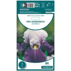 BULBO IRIS GERMANICA AZUL-BLANCO VERDECORA 1 UD