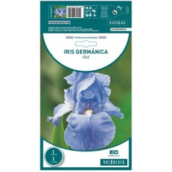 BULBO IRIS GERMANICA AZUL VERDECORA 1 UD