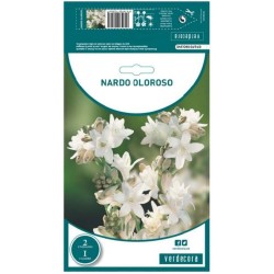 BULBO NARDO OLOROSO VERDECORA 2 UDS