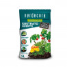 KIT HUERTO URBANO VERDECORA