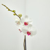 ORQUÍDEA BLANCA 1TALLO EN MACETA 12CM