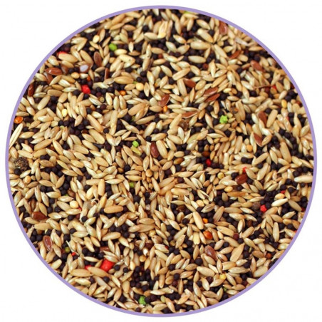 HEWA ALIMENTO CANARIOS 800GR