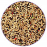 HEWA ALIMENTO CANARIOS 800GR