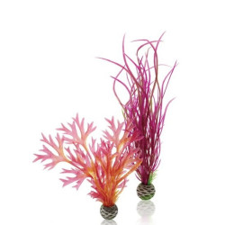 BIORB KIT PLANTAS MEDIANAS ROJO Y ROSA