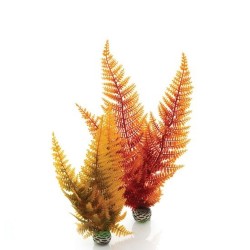 BIORB KIT 2 HELECHOS DE OTOÑO