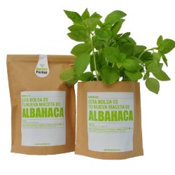 KIT CULTIVO BOLSA ALBAHACA
