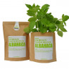 KIT CULTIVO BOLSA ALBAHACA