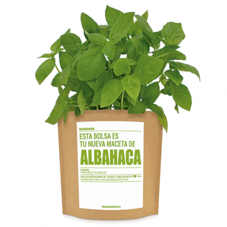 KIT CULTIVO BOLSA ALBAHACA