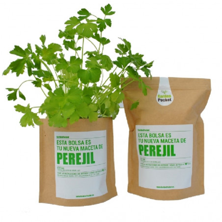 KIT CULTIVO BOLSA PEREJIL
