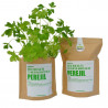 KIT CULTIVO BOLSA PEREJIL
